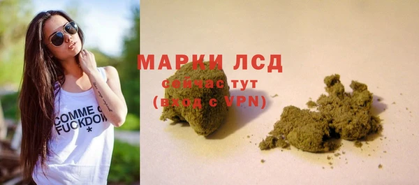 дживик Саяногорск