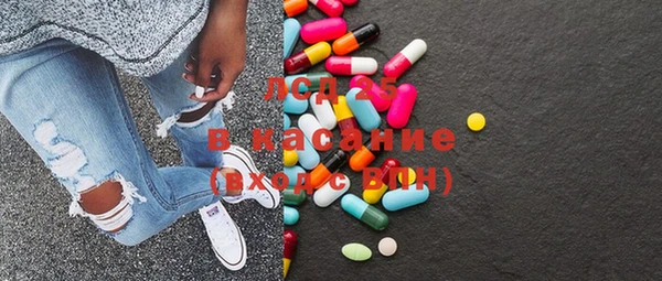 индика Ростов
