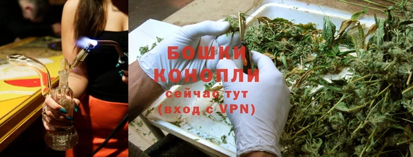 дживик Саяногорск