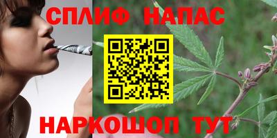 ПСИЛОЦИБИНОВЫЕ ГРИБЫ Заволжье