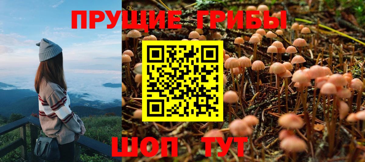 Псилоцибиновые грибы MAGIC MUSHROOMS Сердобск