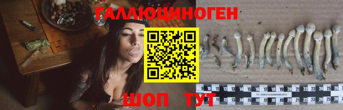 Псилоцибиновые грибы ЛСД Сердобск